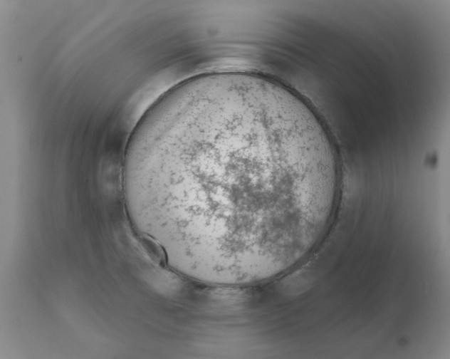 X0000111131473200907211102