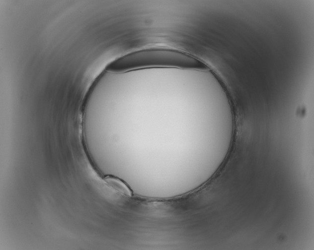 X0000111131476200907211102