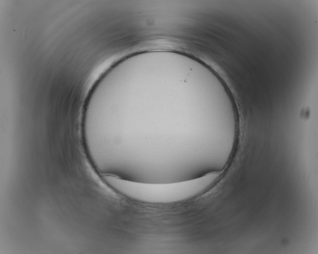 X0000111131477200907211102