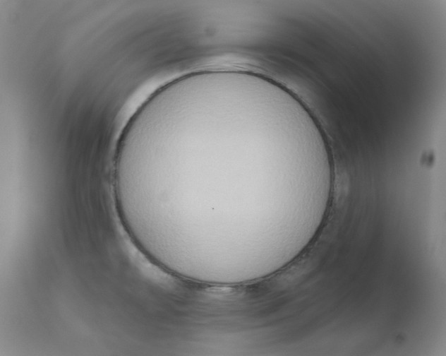 X0000111131478200907211102