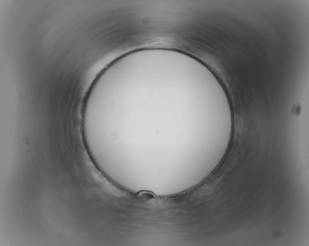 X0000111131480200907211102