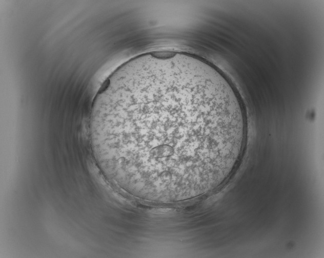 X0000111131481200907211102