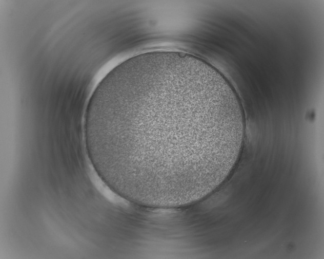 X0000111131482200907211102