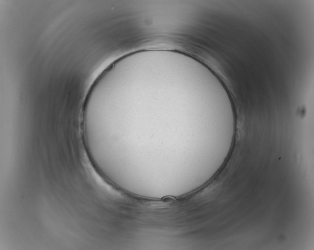 X0000111131484200907211102