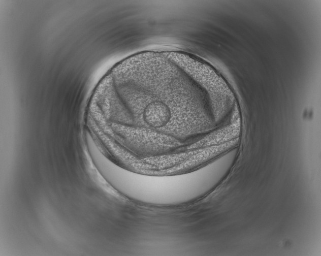 X0000111131488200907211102