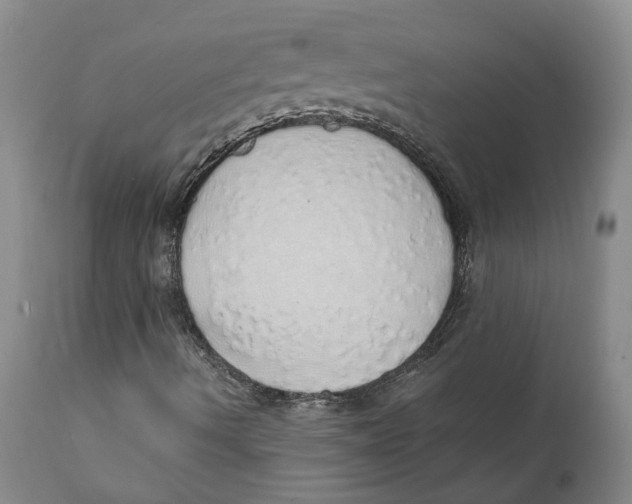 X0000111131490200907211101