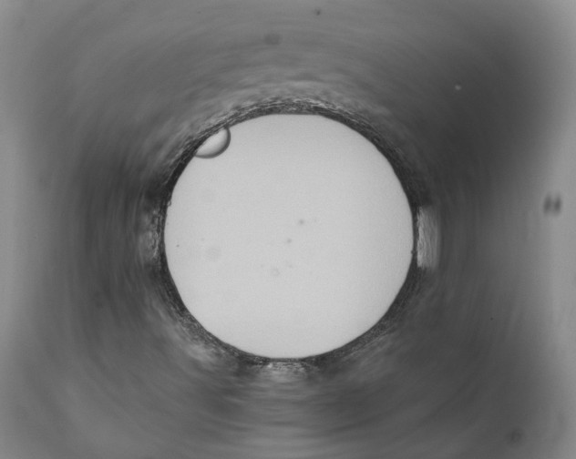 X0000111131491200907211101