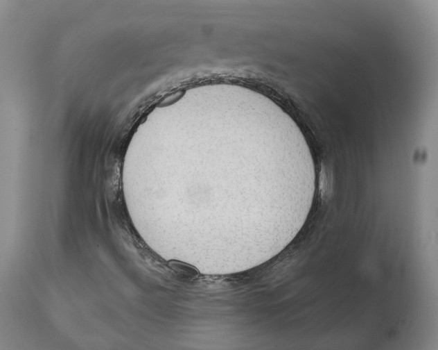 X0000111131492200907211101
