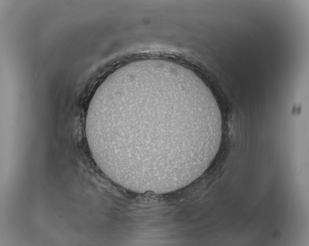 X0000111131493200907211101