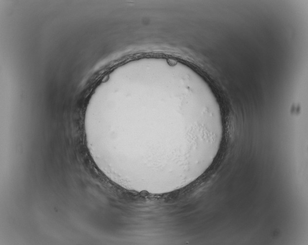 X0000111131494200907211101