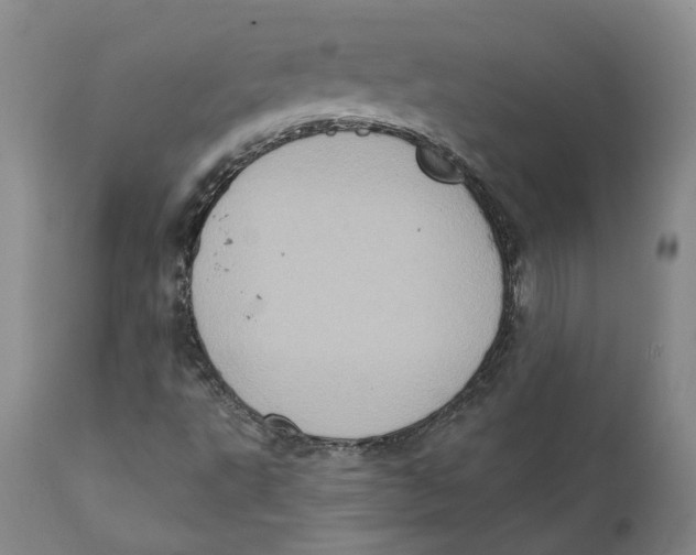 X0000111131495200907211101