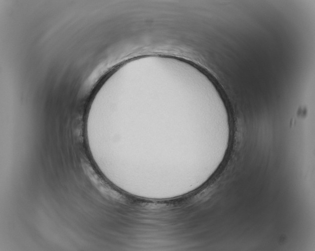 X0000111131499200907211101