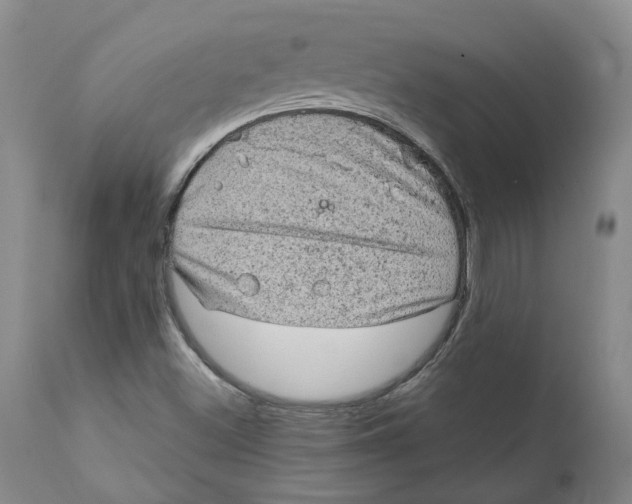 X0000111131500200907211101