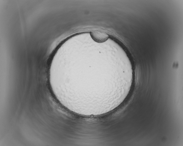 X0000111131501200907211101