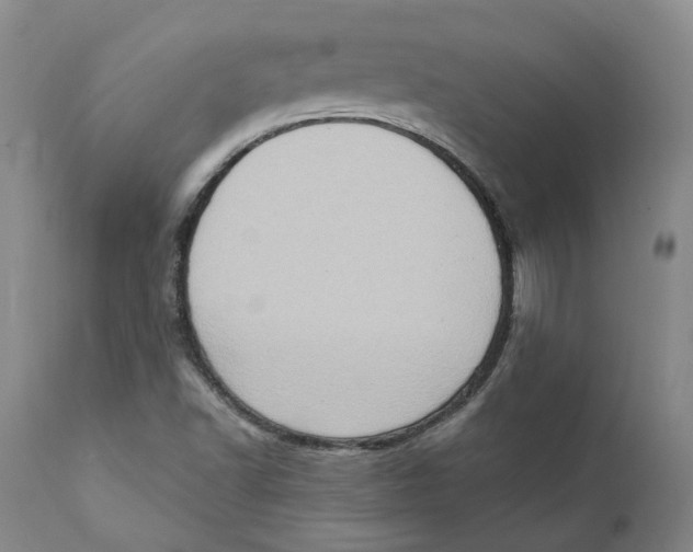 X0000111131502200907211101