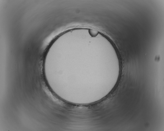 X0000111131503200907211101