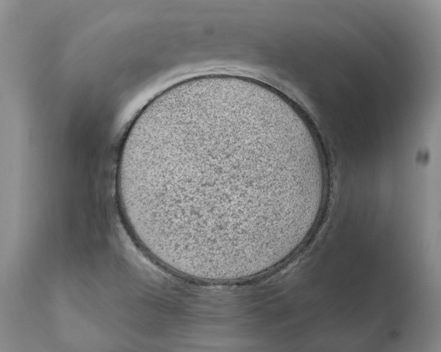 X0000111131504200907211101