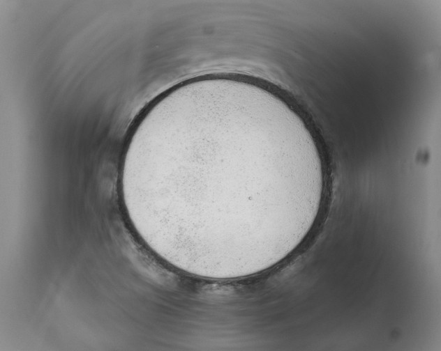 X0000111131505200907211101