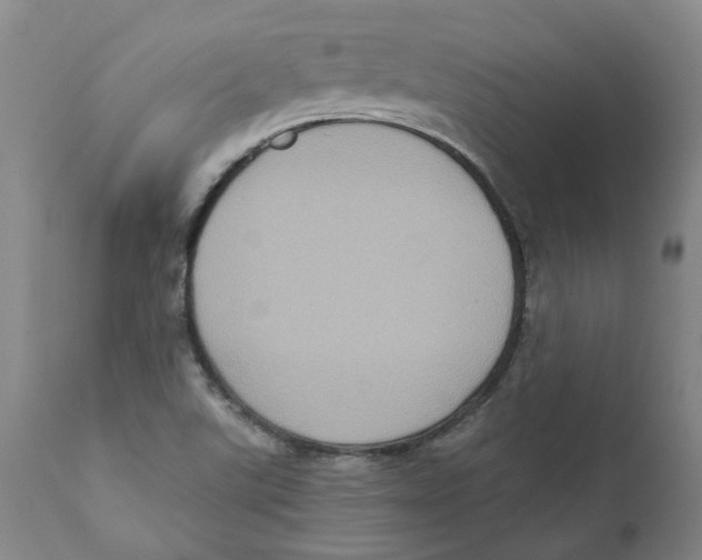 X0000111131507200907211101