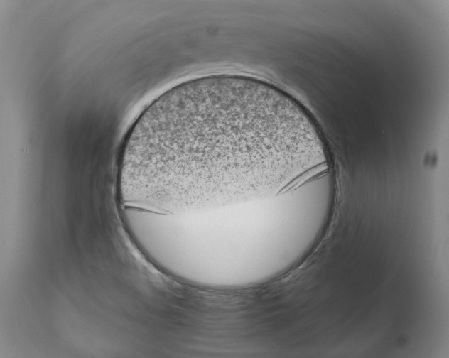 X0000111131508200907211101
