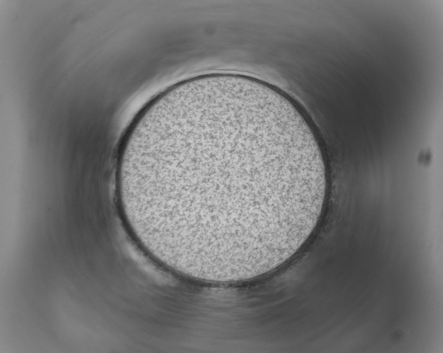 X0000111131511200907211101