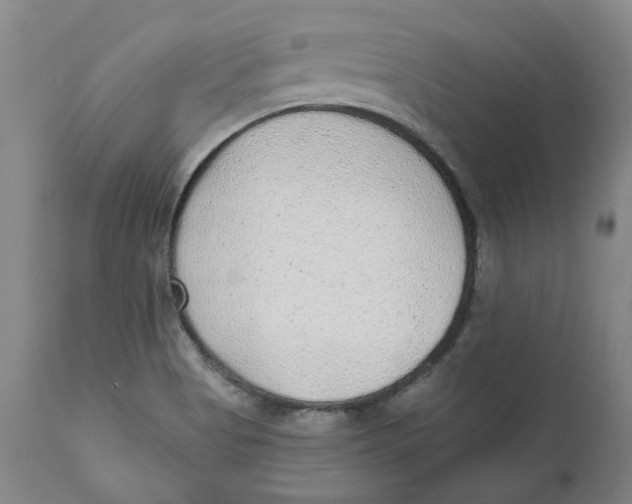 X0000111131513200907211101