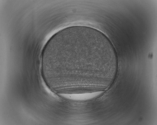 X0000111131515200907211102