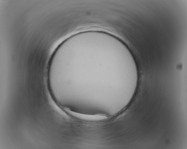 X0000111131518200907211102