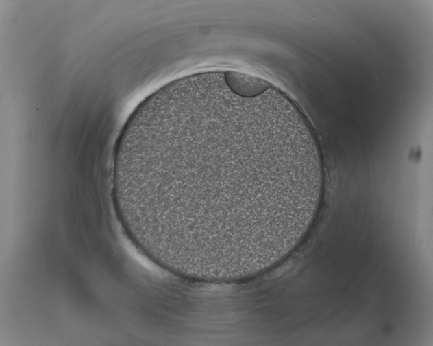 X0000111131519200907211102
