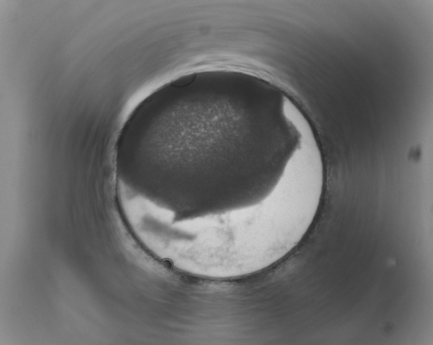 X0000111131522200907211102