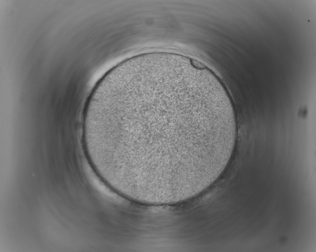 X0000111131523200907211102