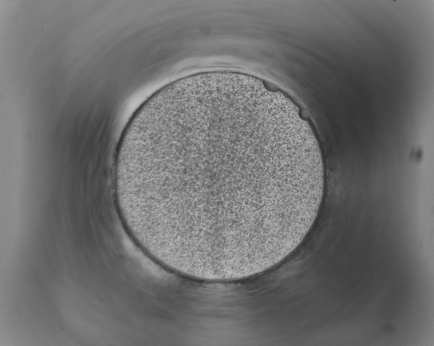 X0000111131527200907211102