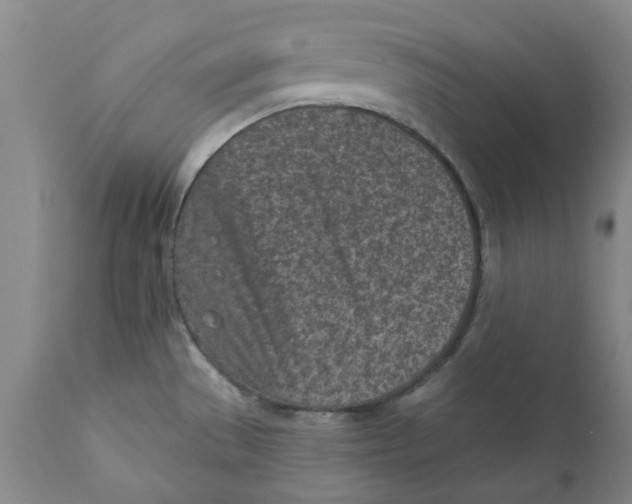 X0000111131529200907211102