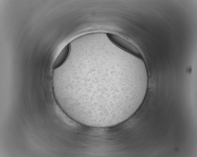 X0000111131532200907211102