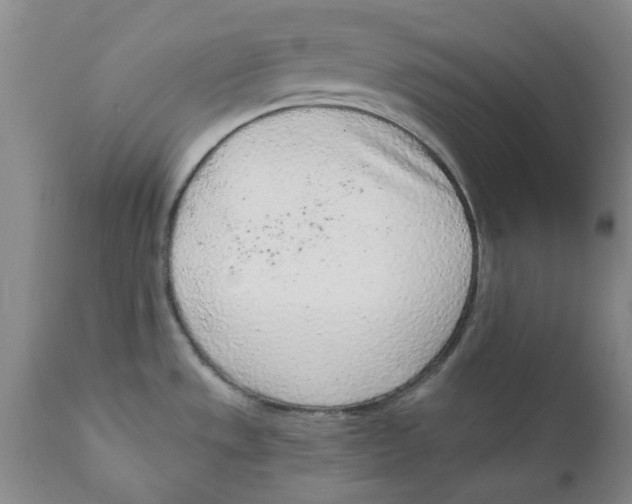 X0000111131533200907211102