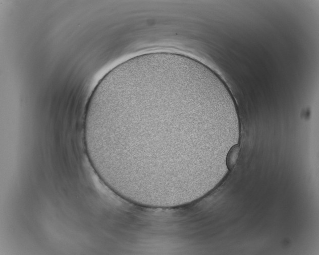 X0000111131534200907211102