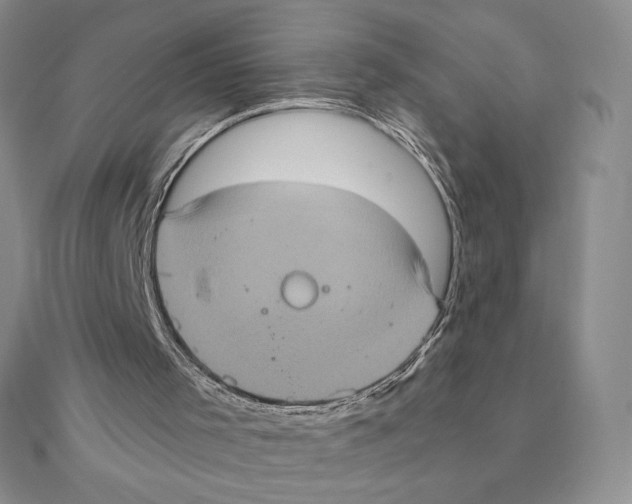 X0000111130001200907281101