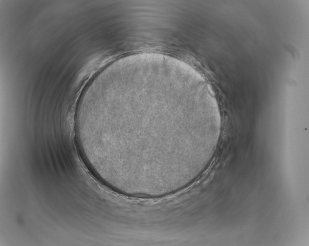 X0000111130002200907281101