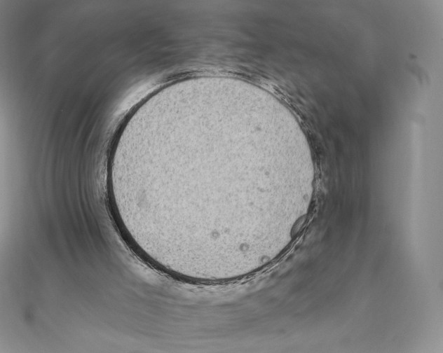 X0000111130005200907281101