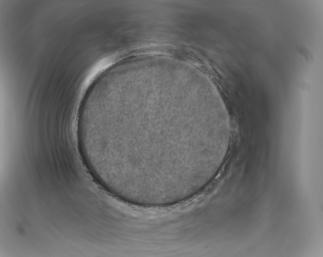 X0000111130006200907281101