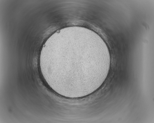 X0000111130010200907281101