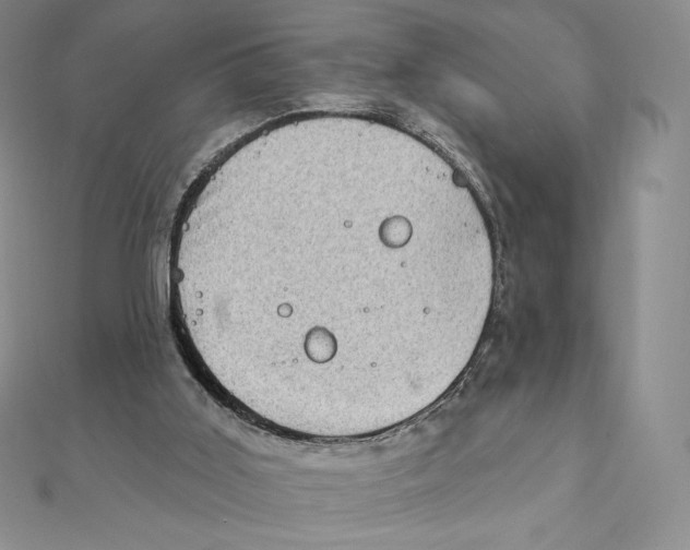 X0000111130011200907281101