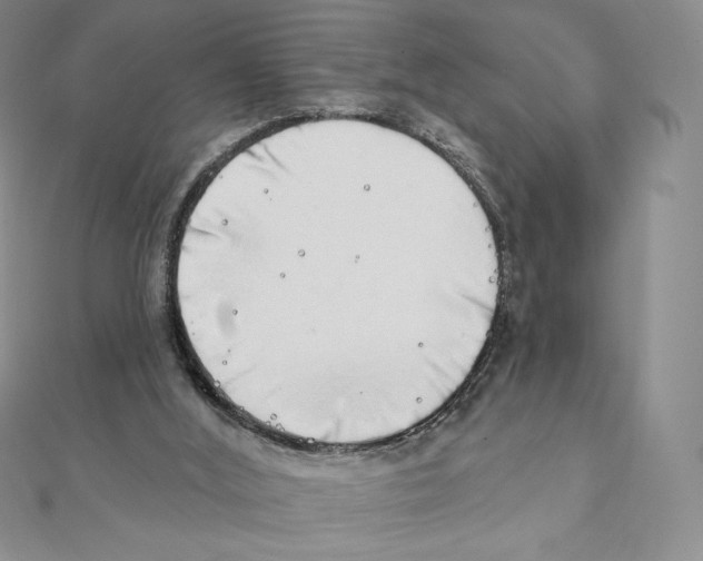 X0000111130012200907281101