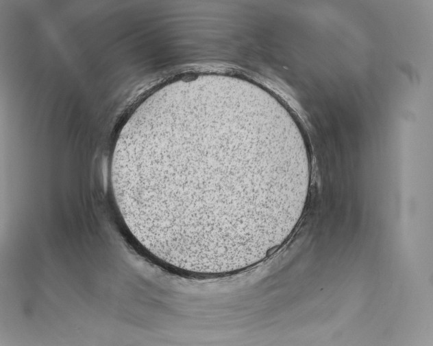 X0000111130013200907281101