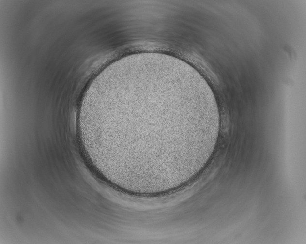 X0000111130014200907281101