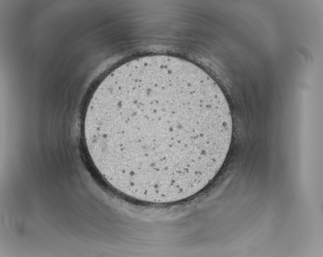 X0000111130016200907281101