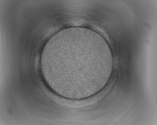 X0000111130018200907281101