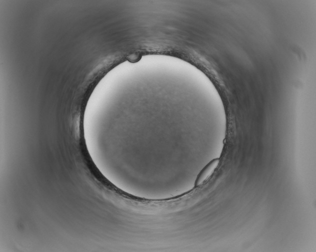 X0000111130019200907281101