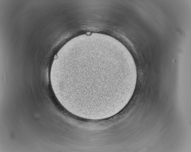 X0000111130020200907281101