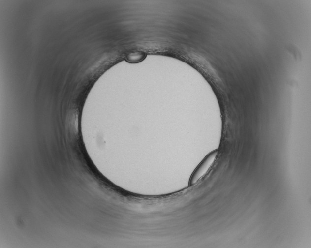 X0000111130021200907281101